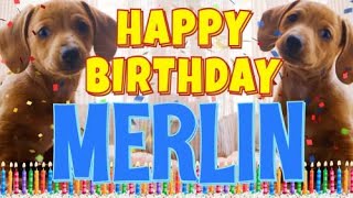 Happy Birthday Merlin! ( Funny Talking Dogs ) What Is Free On My Birthday