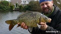 Matze Koch: Leichtsinn mit Method Feeder - Matzes Mätzchen 05-2019