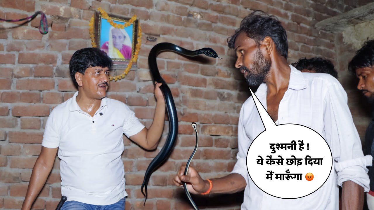 Guddu Maurya से दुश्मनी की बात करने लगा ये शख़्स | 1 ही घर में मिले 4 Cobra साँप | नाग को मार देता !