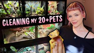 Deep Cleaning My Animal Room...