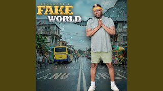 Fake World Net Worth