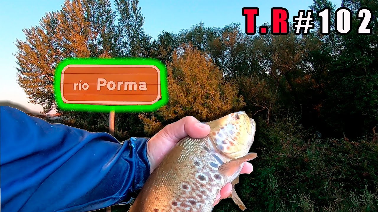 RIO PORMA (jornada de pesca a Spining y ninfa)