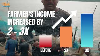 Fishmongers | Building India’s Technology-Driven Seed to Plate Fish Value Chain