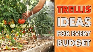VERTICAL GARDENING IDEAS - for Every BUDGET!