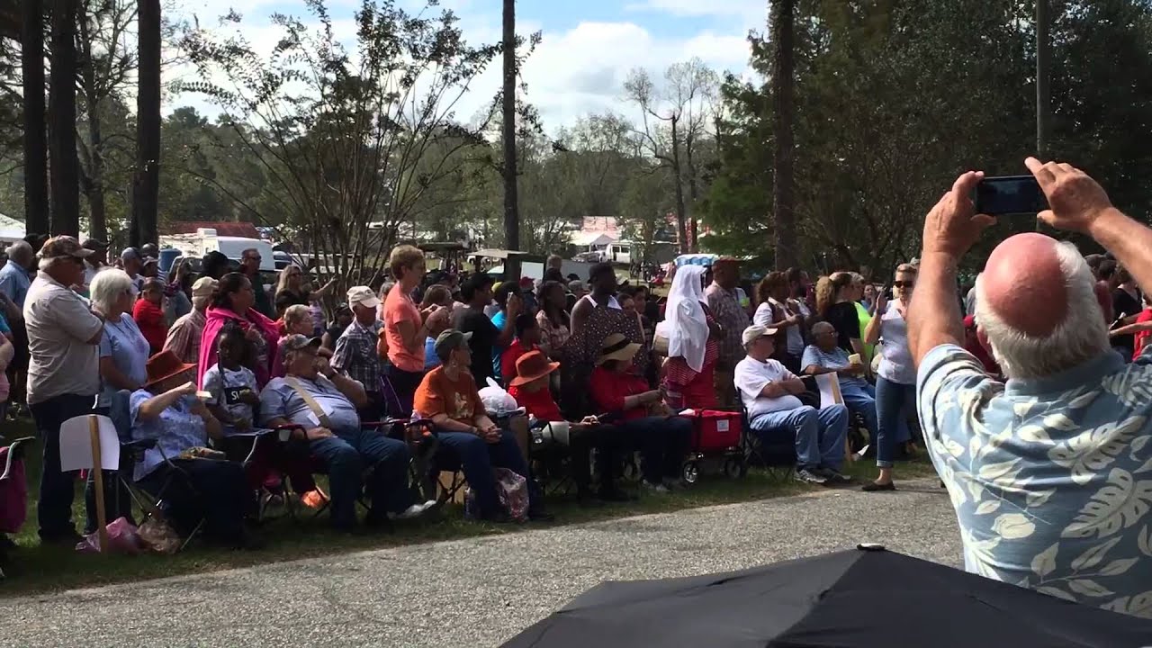 Mule Day in Calvary Ga 2015 YouTube