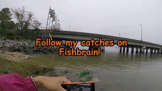 Hiking Ragged Island Wildlife Management Area