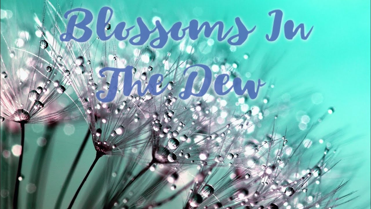 Blossoms In The Dew