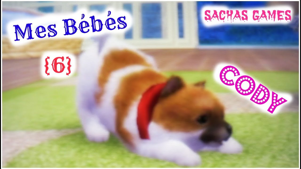 {Nintendogs +Cats} Mes Bébés {7} Spéciale Cody ♡ - YouTube