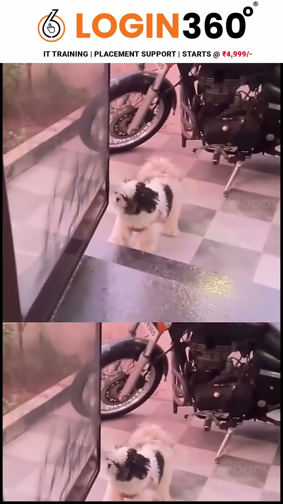 'குட்டா சேட்டை பண்ணாம இருக்க மாட்டியா..' ? Gate-ல கத்திய Cute குட்டி பையன்