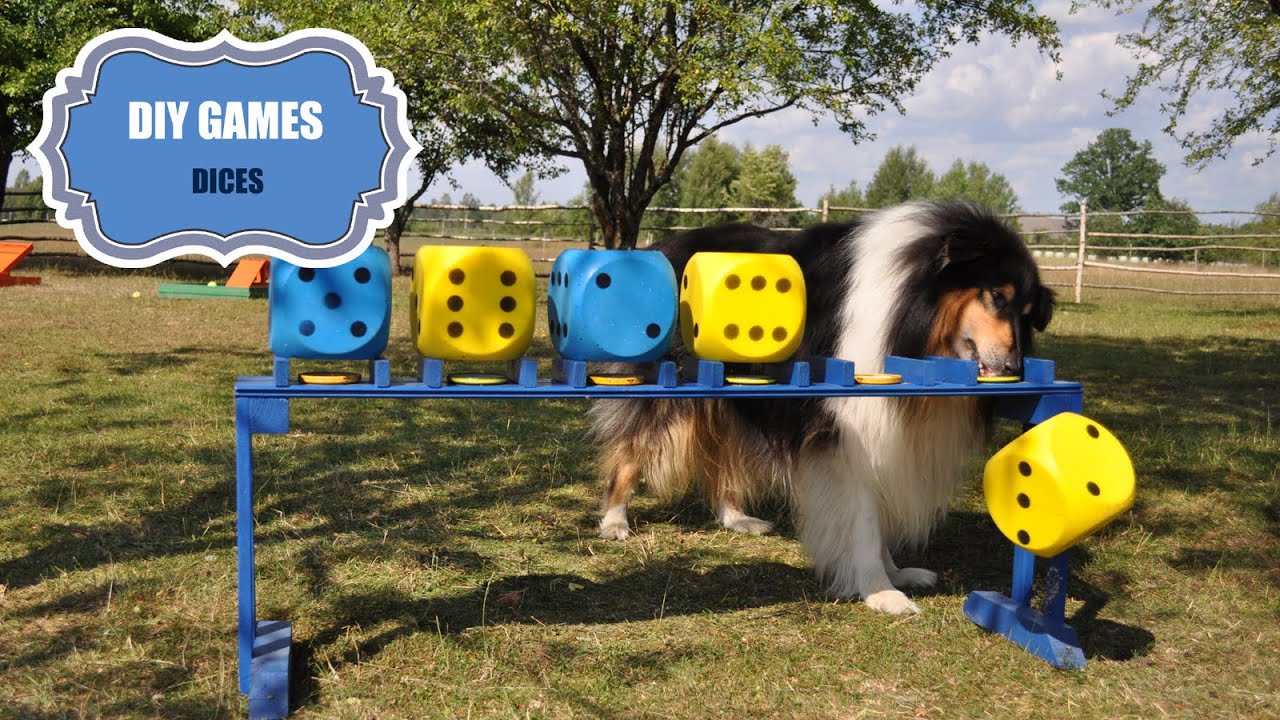 "DIY games for dogs, goats & sheeps" ep. 05 "Dices" YouTube