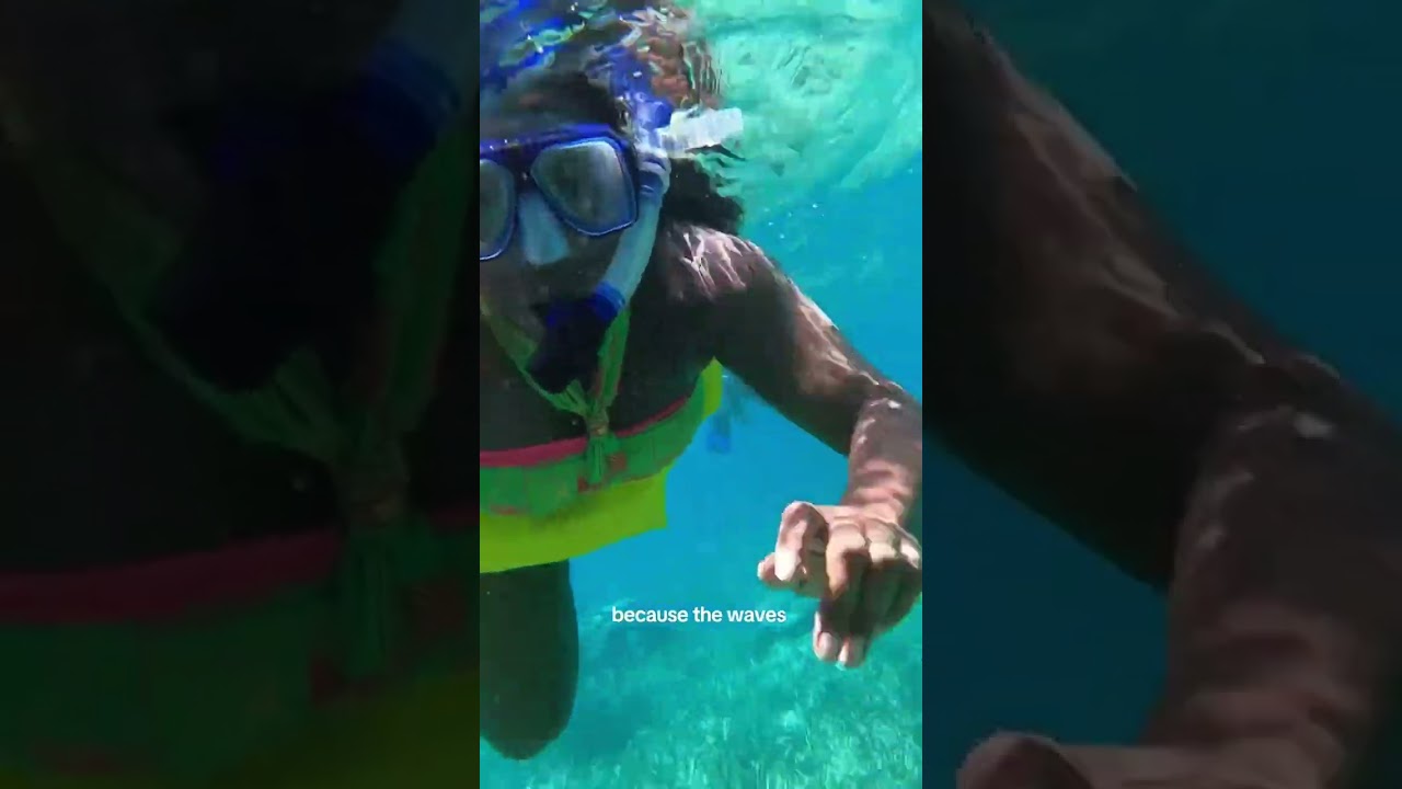 Tour: Full Day Snorkel and Chill Cruise with Island Dream Tours (yolo) only available on tuesdays,