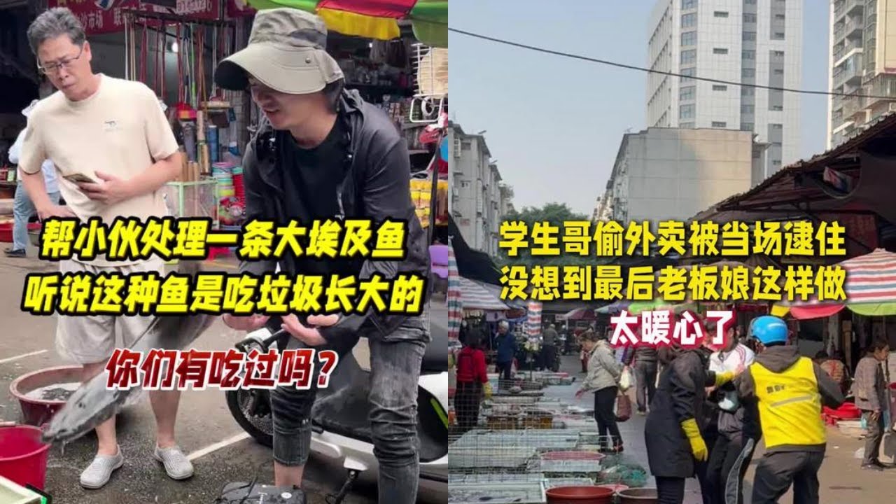 帮小伙处理一条大埃及鱼，听说这种鱼是吃垃圾长大的，你们有吃过吗？｜学生哥偷外卖被当场逮住，没想到最后老板娘这样做太暖心了！