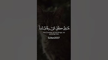 القارئ: ياسر الدوسري ❤️ سورة الأنعام آية (١٠٢)