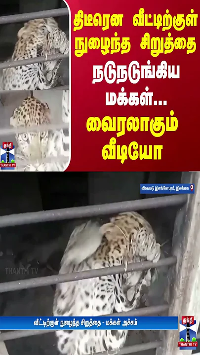 திடீரென வீட்டிற்குள் நுழைந்த சிறுத்தை - நடுநடுங்கிய மக்கள்.. வைரலாகும் வீடியோ | Leopard |ViralVideos