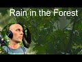 Forest Rain Sounds for Sleeping, Heavy Rain No Thunder Black Screen, Black Screen Rain Sounds, Rain