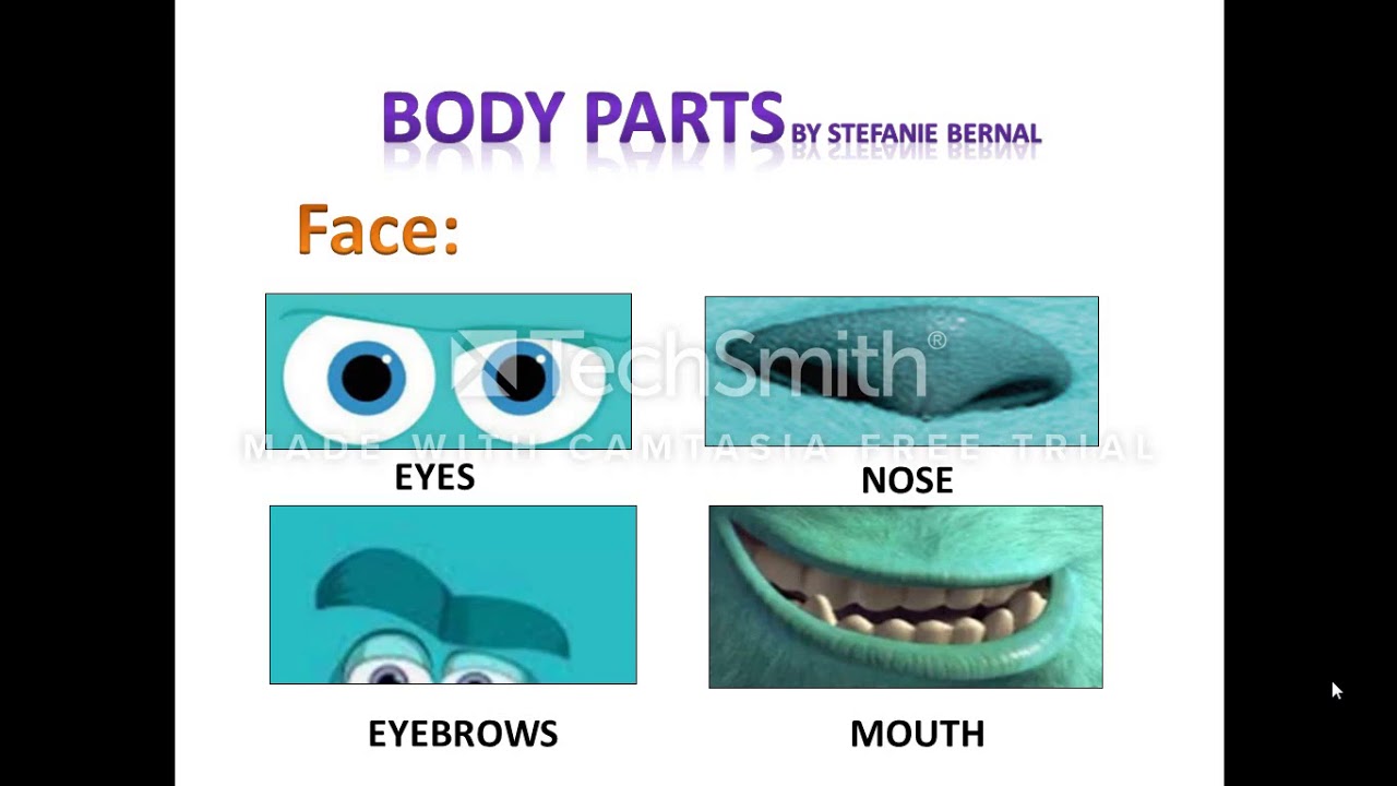 Body Parts - YouTube