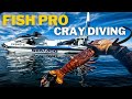 Free diving for crayfish with a 30000 seadoo fishpro