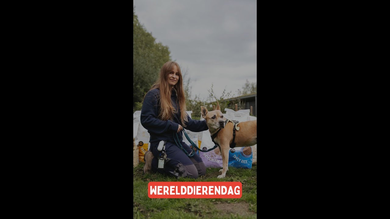 Werelddierendag - 500kg gratis dierenvoeding voor 5 shelters in West-Vlaanderen!