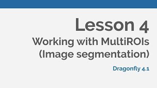 Dragonfly Daily 04 Working with Multi ROIs (image segmentation) in Dragonfly (2020)