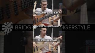 Versus Fodera Ash Vs Mahogany Ft.