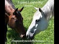 #1 - Humanity Needs the Horses, Interviews from the Field