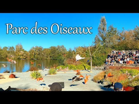 Parc des Oiseaux - Villars-les-Dombes - France - 24/10/2021