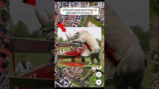 I Found Creepy Giant Rhainogeo At The End