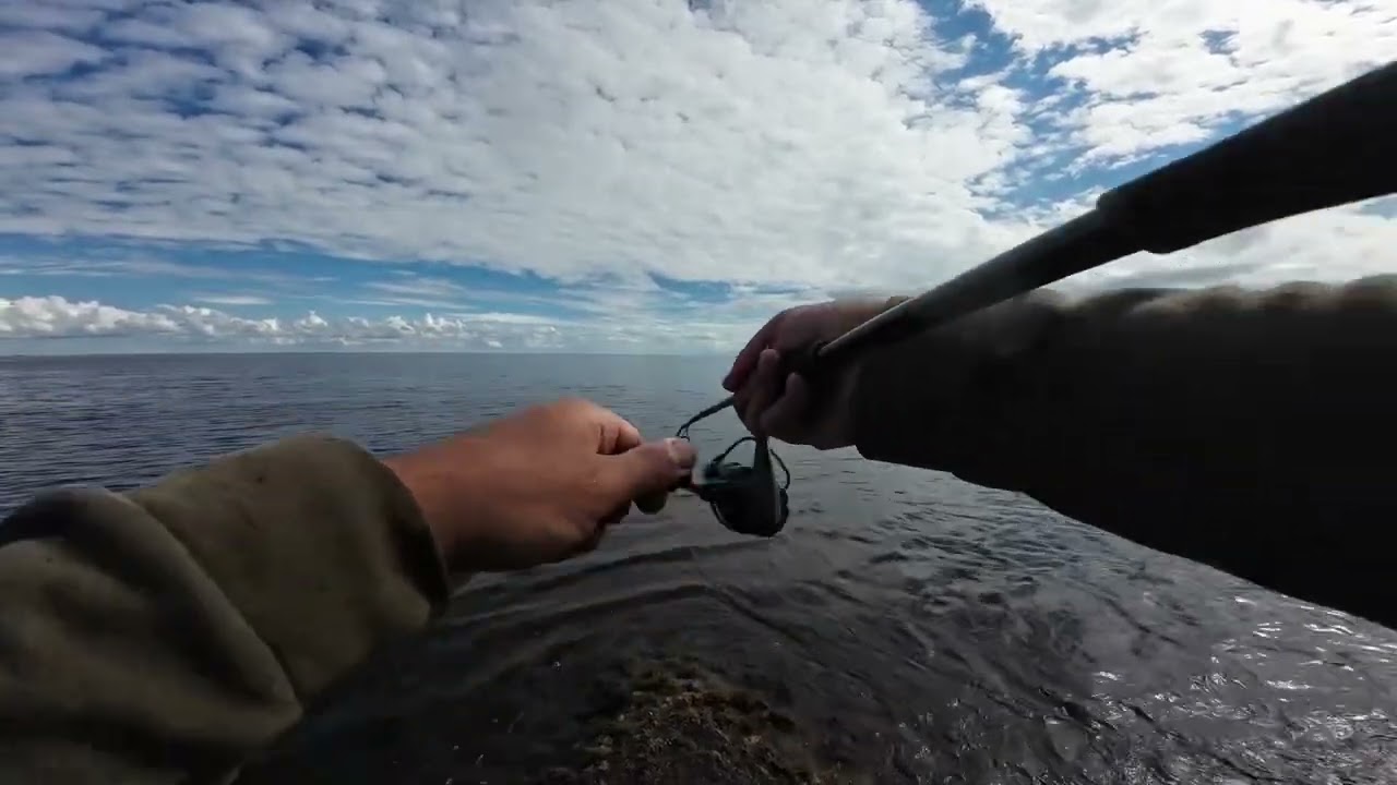 01.10.2025 Sinop’ta jig ile zargana avı 