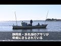 【静岡県】アサリを食べてしまう貝の脅威 | ソーシャルイノベーションニュース