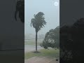 Tropical Storm Edouard makes landfall near Johnson Bayou, Louisiana