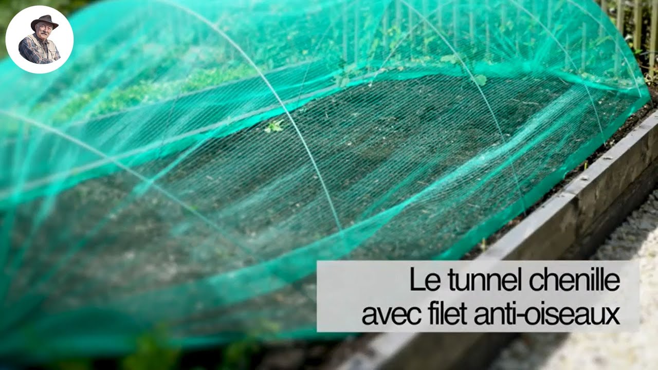 Le tunnel chenille avec filet anti oiseaux 