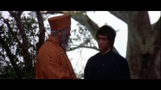 Bruce Lee Enter The Dragon 1973