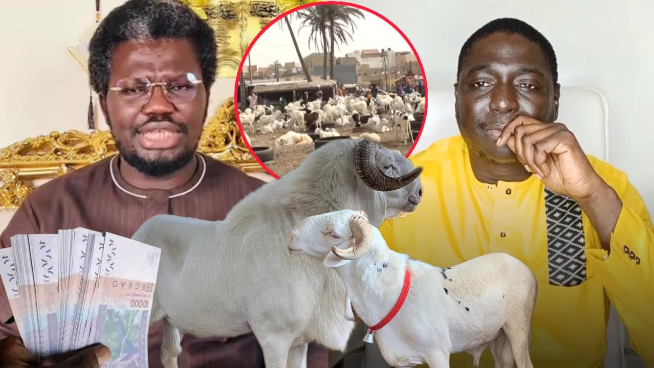 KAWTÉF CH MBACKÉ SAKHO ET CH AHMED CISSÉ TABASKI LOU THI YALLA WAKH DÉF LÉN LILÉN YALLA SAN..😱🤔😱