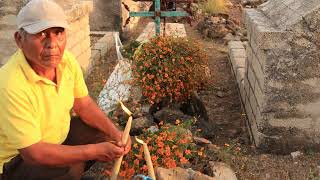 Panteón municipal de san miguel ahuehuetitlan 1 de noviembre 2025