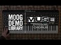 Muse | Dynamic Chorus