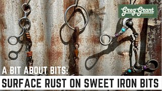Celebrity A Bit About Bits: Surface Rust on Sweet Iron Bits - Greg Grant Saddlery Wealth