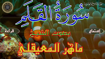 سورة القلم بصوت القارئ ماهر المعيقلي- جودة عالية