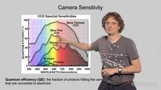 Microscopy: Cameras and Digital Image Analysis (Nico Stuurman)