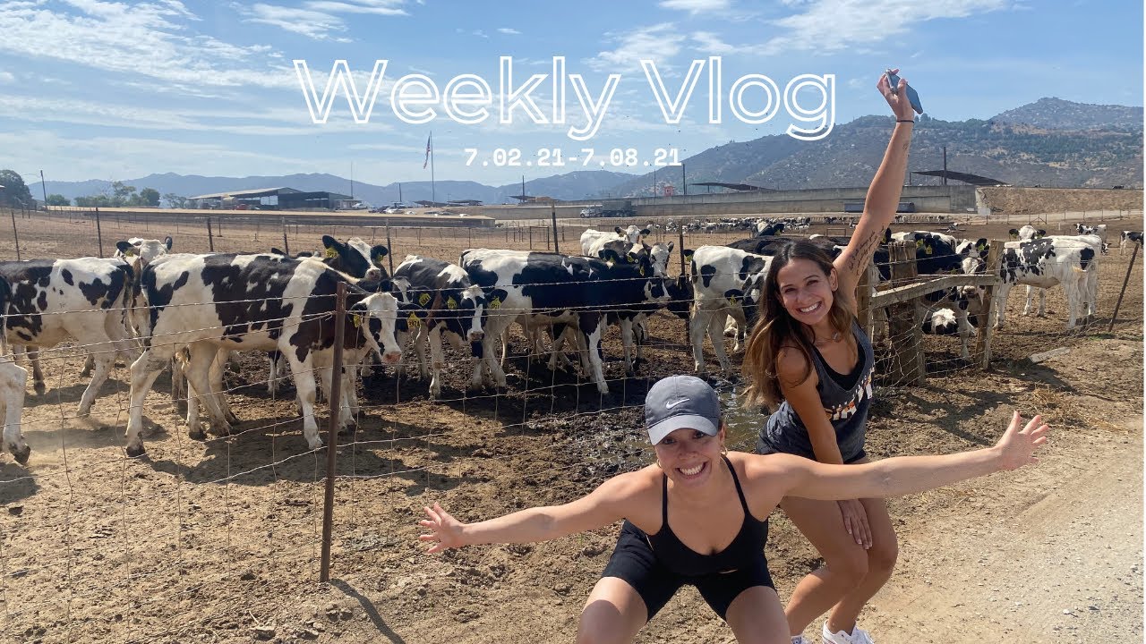 Vlog 4th of July, San Diego Food Spots, Coronado Beach, Devil’s Punch