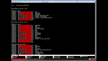 Reverse Engineering Malware