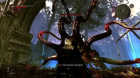 The Witcher 2 - The shittiest boss fight of all time, part I