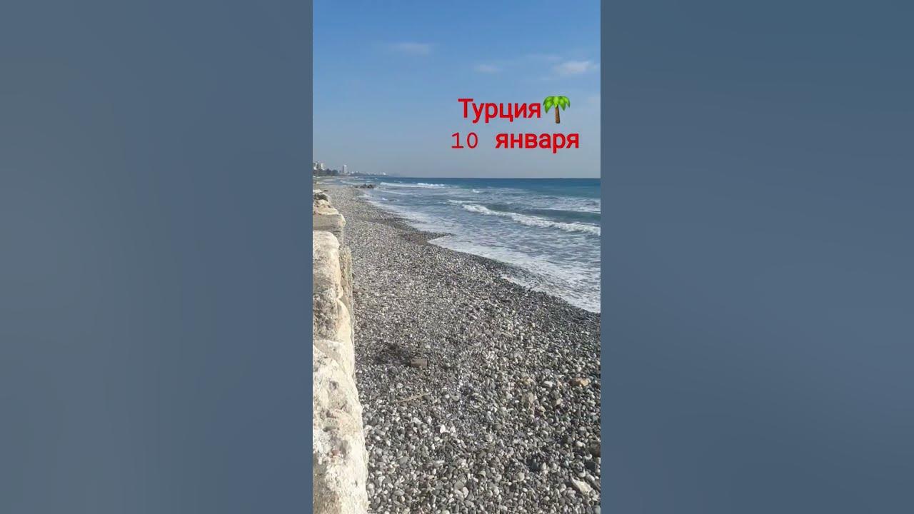 Жизнь море ща. Жизнь море ща