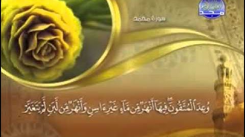 '   سورة محمد  -  47 -   كاملة مكتوبة  " - الشيخ - ماهر المعيقلى "  Surah Mohammad "