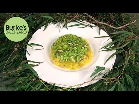 Burke's Backyard, Kiwi Gold Terrine