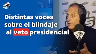 Roy Hora, Adriana Rodríguez, Susana Decibe y Avelluto sobre el blindaje del veto de Milei
