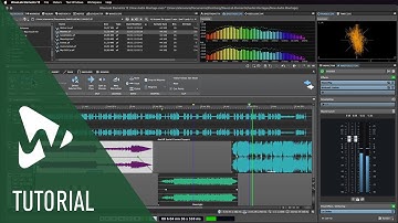 Overview of the Audio Montage in WaveLab Elements | Tutorials