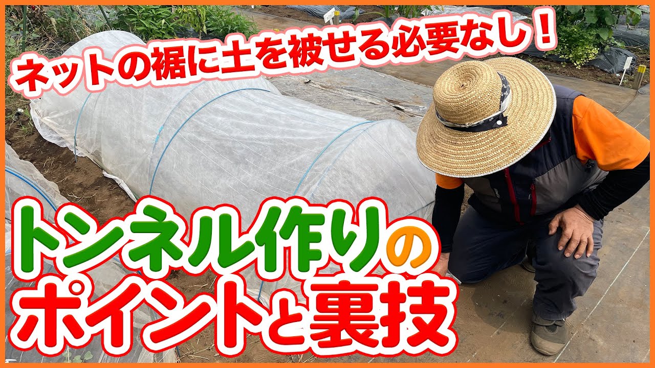 農文協DVD 病害虫防除の基本技術4 天敵・自然農薬・身近な防除