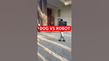Dog fighting with Robot | Dog vs Robot in IIT kanpur #dogs #robotics #techkriti #iit