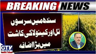 Sharjeel Memon’s Major Statement on Crop Cultivation in Sindh | Breaking News | GTV News