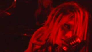 Lycaon - RED RUM